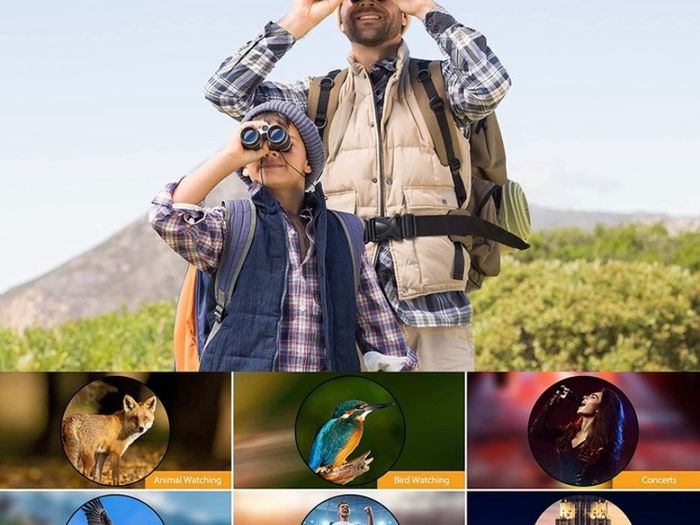 Binoculars for Adults - Professional High Definition Large Field of View Binoculars for Bird Watching Hunting Wildlife Viewing Outdoor Sports Game and Concerts (FREE POSTAGE)