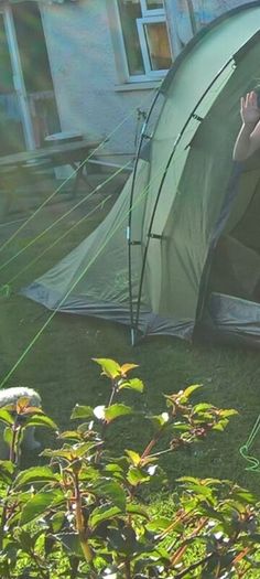 8 man tent