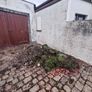 Free Topsoil Image 2