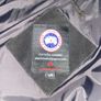 canada goose Image 2