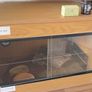 Reptile Tank/ starter kit Image 4
