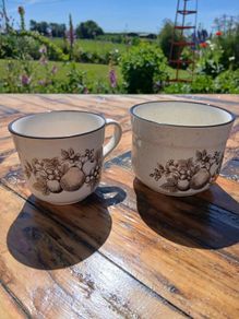Arklow pottery