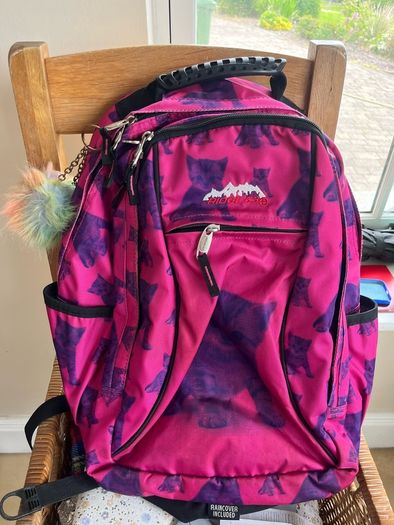 Ridge 53 Back Pack