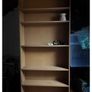 Bookshelves Image 2