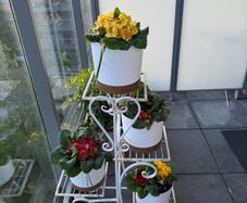FATIVO Metal Plant Stand Indoor Outdoor Flower Pot Organizer 4 Tier Square Rack Display,L 52.5xW 24.5xH 87cm, White
