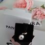 New genuine pandora Rat charm Image 3