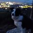 david.oshea.95