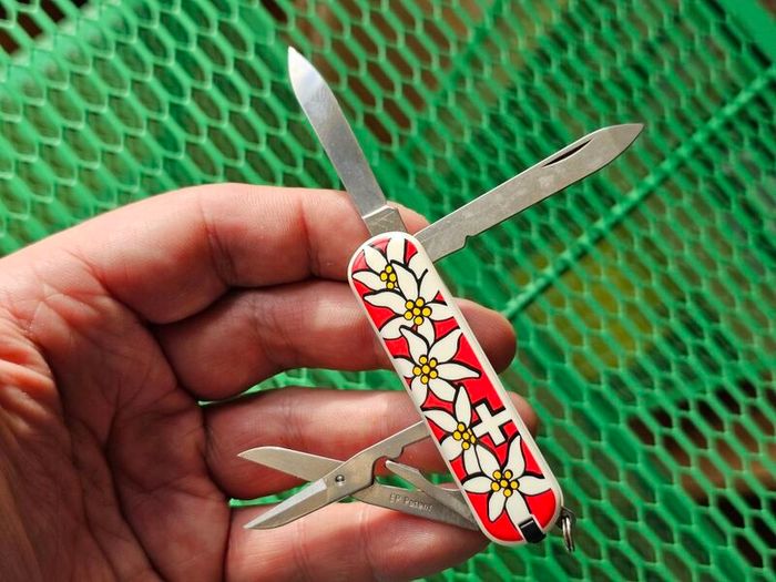 Vintage Wenger Esquire 65mm Swiss Army Knife Discontinued Collectable with Modern Delemont Victorinox Scales