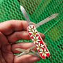 Vintage Wenger Esquire 65mm Swiss Army Knife Discontinued Collectable with Modern Delemont Victorinox Scales Image 8