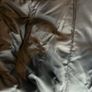 Hugo boss Image 6