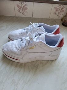 puma
