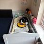 kids bed Image 2