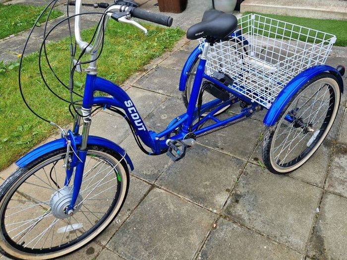 Adult Tricycle
