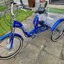 Adult Tricycle Image 3