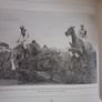 Vincent O Brien / The National Hunt Years /1st edition/ 1992 Image 9