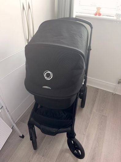 Black bugaboo renew