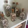 Sea shells in bottles Image 7