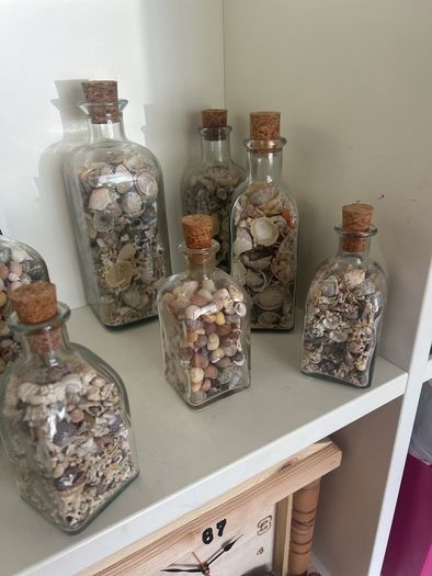 Sea shells in bottles