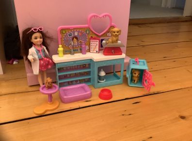 Barbie veterinary set with doll
