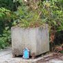 plant pots Image 3