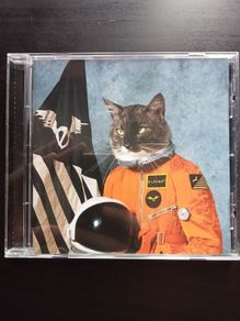 Klaxons - Surfing the Void CD
