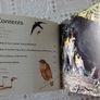 British Birds. Identification Guides.  Book Image 4