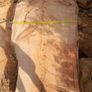 timber planks Image 5