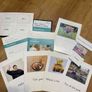 speech and language therapy materials (see and learn kits) Image 9