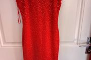 Lustre Sparkly Dress