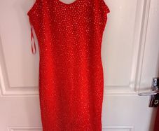 Lustre Sparkly Dress
