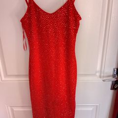Lustre Sparkly Dress
