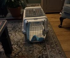 cat carrier