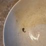 Vintage pitcher and large bowl Image 4