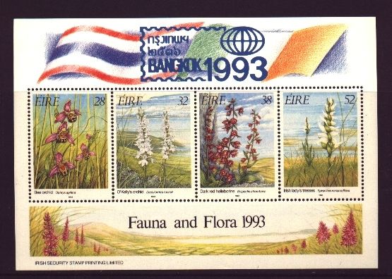 1993 Ireland Bangkok '93 overprinted on Orchids Miniature Sheet with larger top margin Mint Never Hinged (MNH)