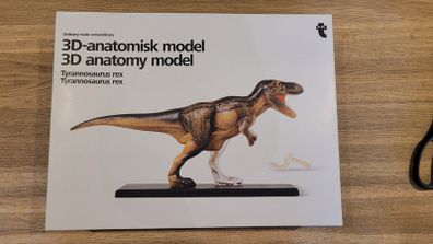 Flying Tiger 3D anatomy model Dinosaur