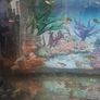 75litre Aquarium Image 7