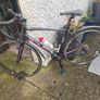 Bike Image 2