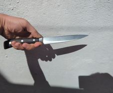 Wusthof Ikon Carving Knife, with African black wood handle (blade, 16 cm - 6, 1/2 inches)
