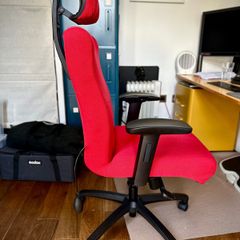 Ergonomic Office Chair