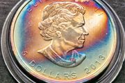1 Oz 2013 Canada 5 Dollar .9999 Wildlife Series: Bison Toned coin