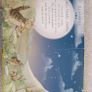 Peter Rabbit Nursery Rhyme book Image 3