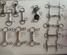 horse bits