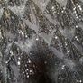 Dress Zara XS silver sequins Image 4