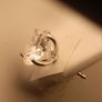 14 ct White Gold 3ct+3ct Lab Grown Diamond Studs Image 5