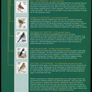 2002 Ireland Birds of Ireland Presentation Folder with 29 MNH Bird Definitives through E10 from the Tenth Definitive Series in plastic sleeve Image 3