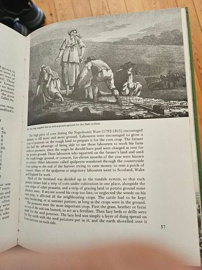 Ireland.  Past Into Present. By Padraig Lane. First Edition Large Volume Hardback With Dustjacket In Good Condition.  See Photos For Same.