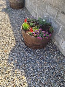 Half whiskey barrels for sale