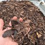 100% Natural Irish Bark Mulch 300kg | Kildare & Surrounding Counties Image 5