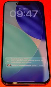 Apple iPhone 16 Pro Max - 256GB