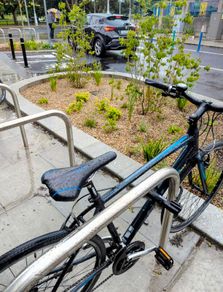 Giant Escape bike